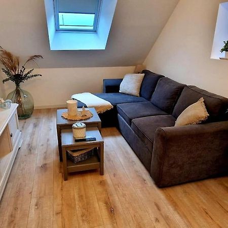 Appartement Charmant Et Spacieux Оксер Екстериор снимка