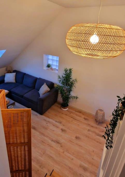 Appartement Charmant Et Spacieux Оксер Екстериор снимка